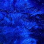 langhåret pels kongeblå