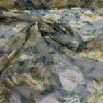 Chifong med glitter - Bilde 2